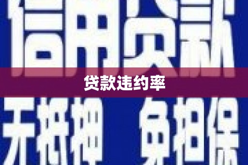 新建贷款违约率
