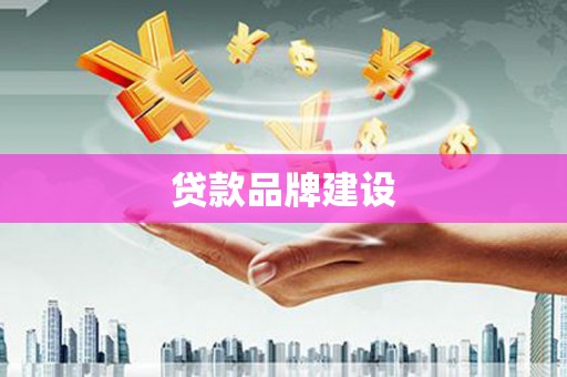 新建贷款品牌建设