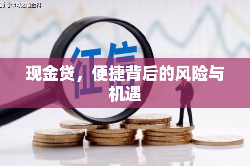 新建现金贷，便捷背后的风险与机遇