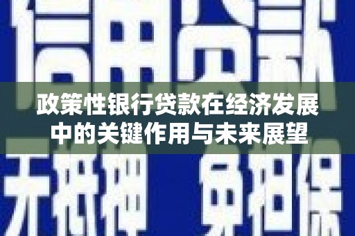 新建政策性银行贷款在经济发展中的关键作用与未来展望