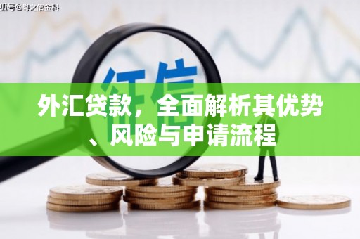 新建外汇贷款，全面解析其优势、风险与申请流程