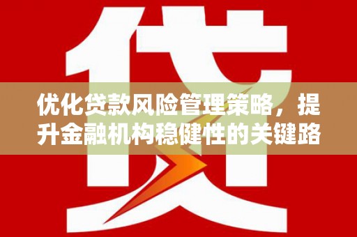 新建优化贷款风险管理策略，提升金融机构稳健性的关键路径