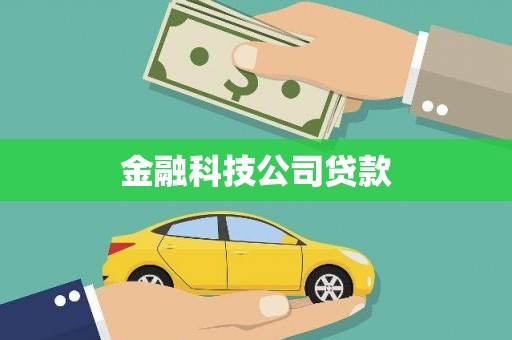 新建金融科技公司贷款