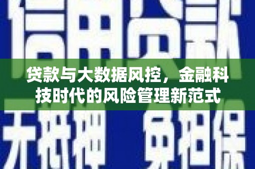 新建贷款与大数据风控，金融科技时代的风险管理新范式