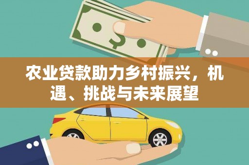 新建农业贷款助力乡村振兴，机遇、挑战与未来展望