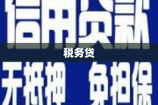 新建税务贷