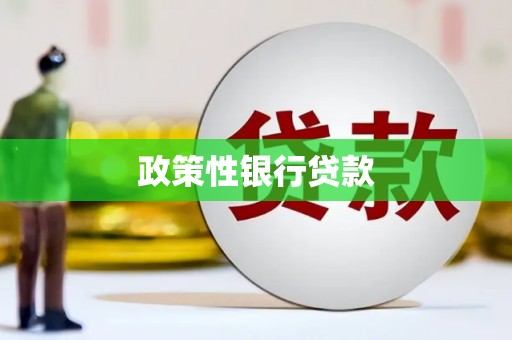 新建政策性银行贷款