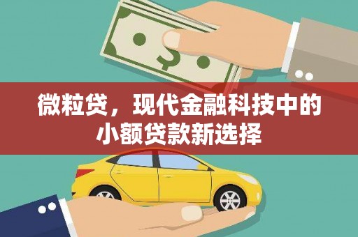 新建微粒贷，现代金融科技中的小额贷款新选择
