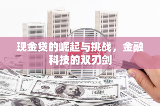 新建现金贷的崛起与挑战，金融科技的双刃剑