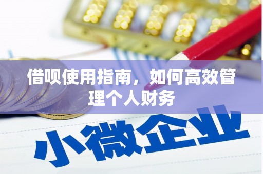 新建借呗使用指南，如何高效管理个人财务