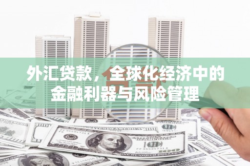 新建外汇贷款，全球化经济中的金融利器与风险管理