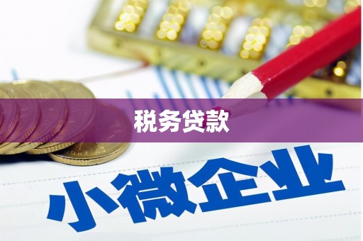 新建税务贷款