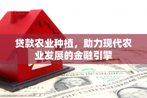新建贷款农业种植，助力现代农业发展的金融引擎