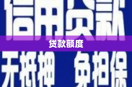 新建贷款额度