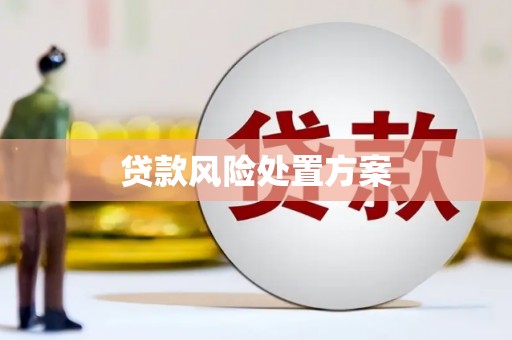 新建贷款风险处置方案