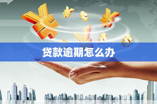 新建贷款逾期怎么办