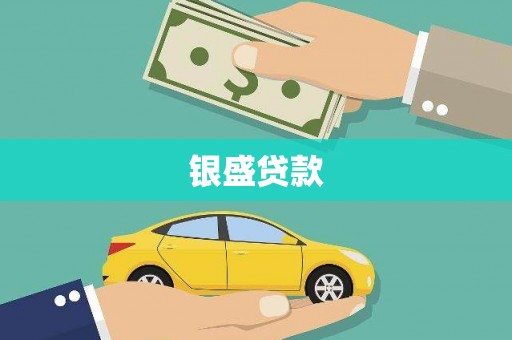 新建银盛贷款