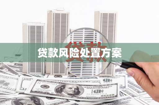 新建贷款风险处置方案