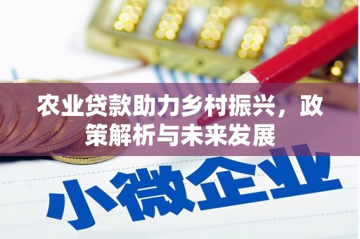 新建农业贷款助力乡村振兴，政策解析与未来发展