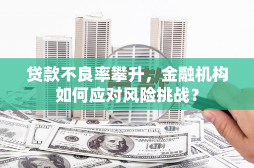 新建贷款不良率攀升，金融机构如何应对风险挑战？