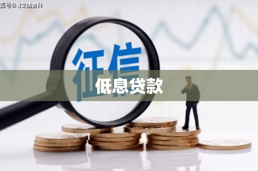 新建低息贷款
