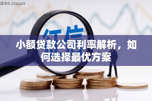 新建小额贷款公司利率解析，如何选择最优方案