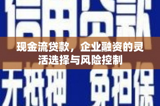 新建现金流贷款，企业融资的灵活选择与风险控制