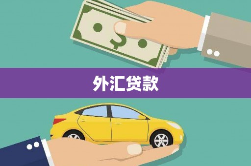 新建外汇贷款