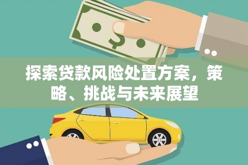 新建探索贷款风险处置方案，策略、挑战与未来展望