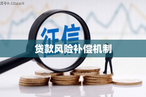 新建贷款风险补偿机制