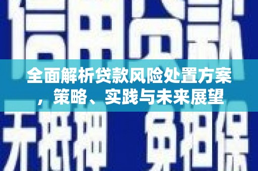新建全面解析贷款风险处置方案，策略、实践与未来展望