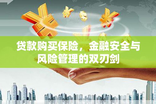 新建贷款购买保险，金融安全与风险管理的双刃剑