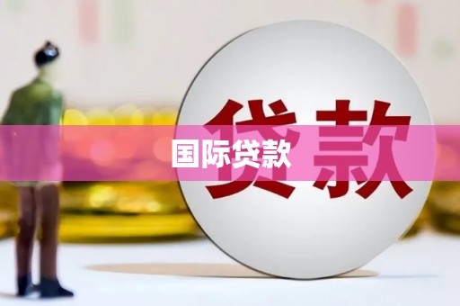 新建国际贷款