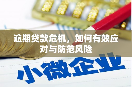 新建逾期贷款危机，如何有效应对与防范风险
