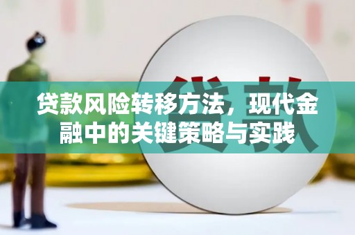 新建贷款风险转移方法，现代金融中的关键策略与实践
