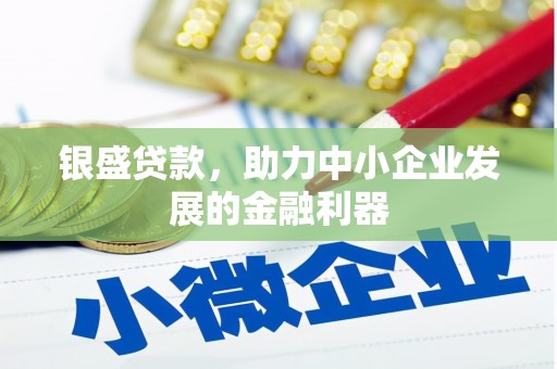 新建银盛贷款，助力中小企业发展的金融利器