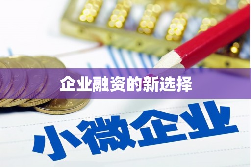 新建企业融资的新选择