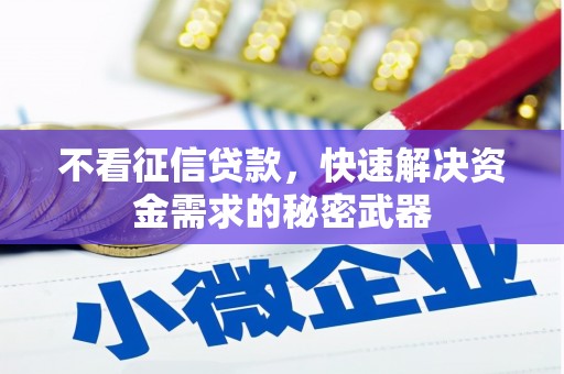 新建不看征信贷款，快速解决资金需求的秘密武器
