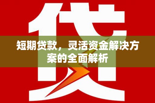 新建短期贷款，灵活资金解决方案的全面解析