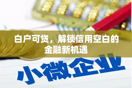 新建白户可贷，解锁信用空白的金融新机遇
