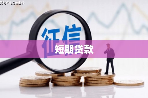 新建短期贷款