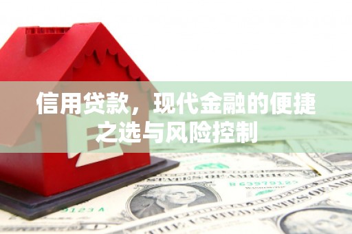新建信用贷款，现代金融的便捷之选与风险控制