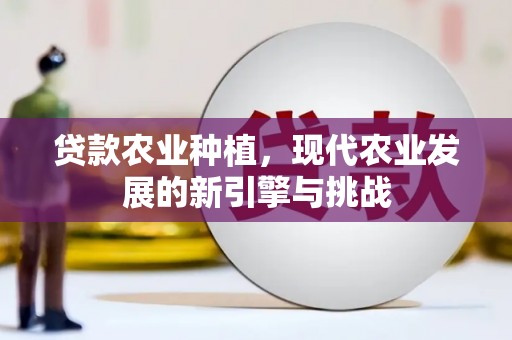 新建贷款农业种植，现代农业发展的新引擎与挑战