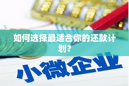新建如何选择最适合你的还款计划？