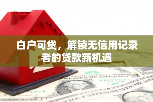 新建白户可贷，解锁无信用记录者的贷款新机遇