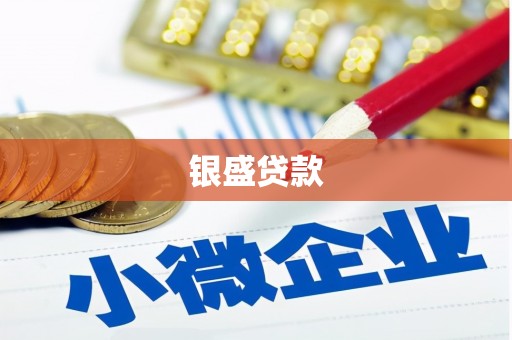 新建银盛贷款