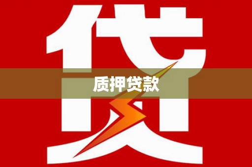 新建质押贷款