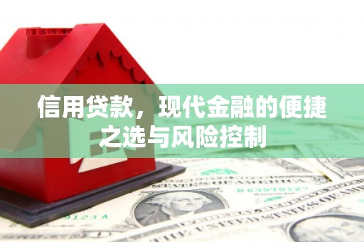 新建信用贷款，现代金融的便捷之选与风险控制