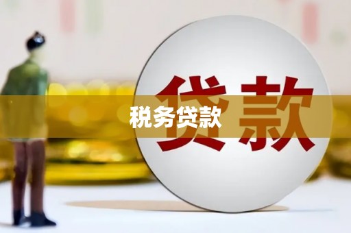 新建税务贷款