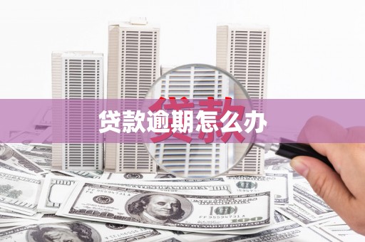 新建贷款逾期怎么办